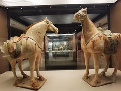 -西安大唐西市博物馆