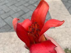 -福田红树林生态公园