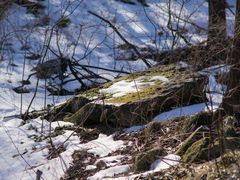 -阳台山自然风景区
