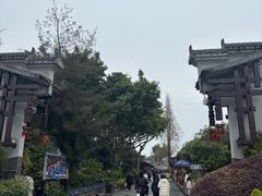 -安仁古镇
