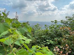 -杭州半山国家森林公园