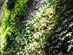 -兴芮温泉度假区