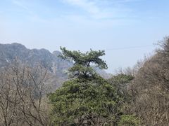 -少华山国家森林公园