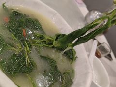 上汤桑叶-姚林轩