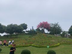-东莞植物园