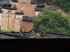 -杨家堂村