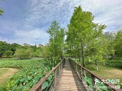 -沐仙湖湿地公园