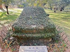 -中国科学院西双版纳热带植物园