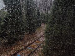 -合肥滨湖国家森林公园