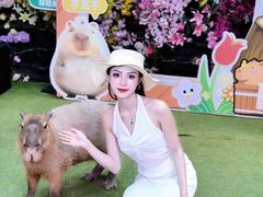 -正佳雨林生态植物园