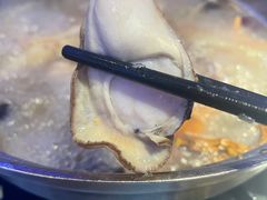 -千岛蚝高压锅生蚝·人参火锅(白云万达店)