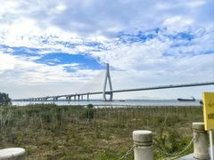 -芒洲湿地公园