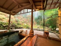 -有马温泉 竹取亭円山温泉旅馆