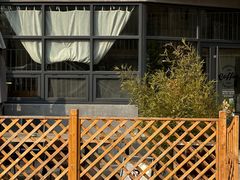 -隹木咖啡馆(宝龙广场店)