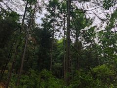 -萨尔浒风景区