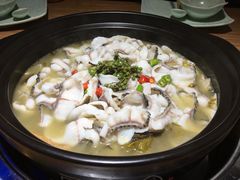 -采御鲜·回转寿司(汕头万达店)