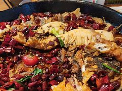 -老板恋上鱼(恒隆广场店)