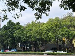 -Avg Coffee(新景苑店)