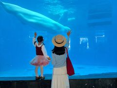 -海合安成都极地海洋公园