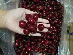 -美廉美超市(圣熙8号购物中心店)