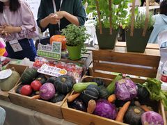 -东浩兰生上海世博展览馆