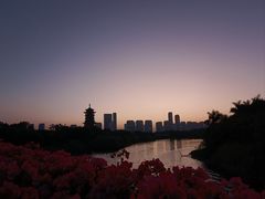 -厦门园林博览苑