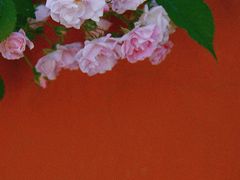 -北京石刻艺术博物馆(五塔寺)