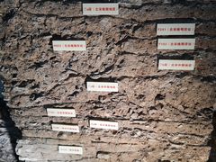 -南越王博物院(王宫展区)