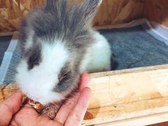-小意思咖啡店(草桥店)