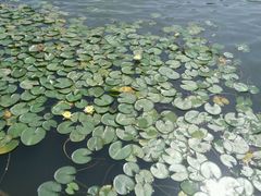 -泰安地下龙宫景区