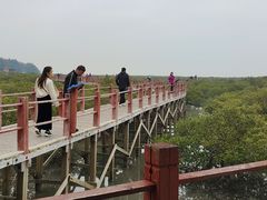 -北海金海湾红树林生态旅游区