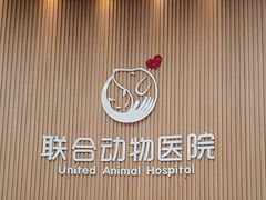 -联合动物医院(光谷诊疗中心)
