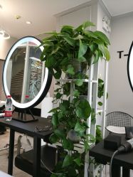 -T-Hair Salon