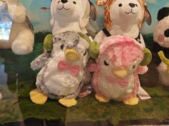 -童趣廊·儿童波波池·海洋球(长隆横琴湾酒店)