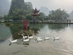 -靖西鹅泉风景区