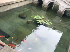 -程十发艺术馆