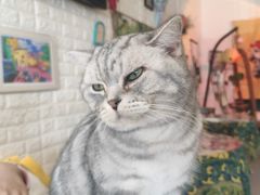 -平行世界·猫咖(首经贸店)