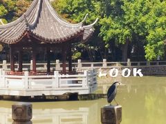 -汇龙潭