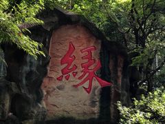 -杭州黄龙洞