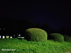-哈工程图书馆