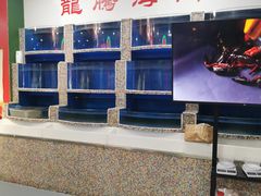 水产区-虎虎龙虾•9年湖北匠(双井店)