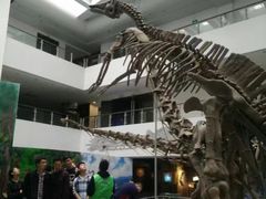 -中国地质大学逸夫博物馆