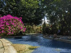 -七仙岭温泉国家森林公园