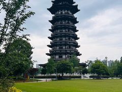 -洋湖国家湿地公园