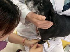 -全心全意动物诊疗中心医院(北苑店)