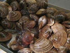 -春华海鲜城(广场西苑店)
