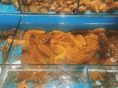 -中苑海韵