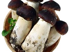 -抚仙湖野生菌石锅鱼(腾冲总店)