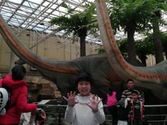 -国家自然博物馆