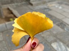 -红螺寺